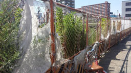 堀川_新尾頭_before