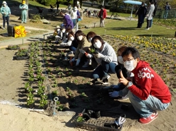 白鳥公園花壇01