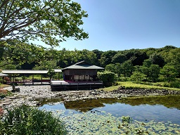 絵で語る白鳥庭園04