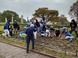 白鳥公園花壇02