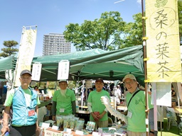 白鳥庭園春浪漫04